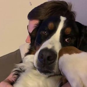 Meet your Posher, Jared